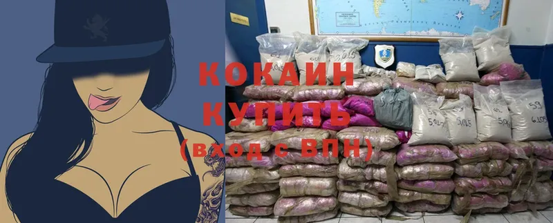 купить закладку  mega tor  Cocaine Fish Scale  Кинель 